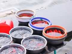 -海河游船-永乐码头(大悲院)