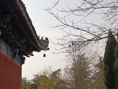 -洛阳白马寺