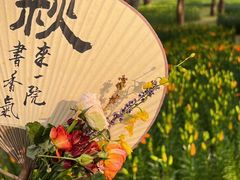 -无锡梅园公园