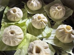 -田螺阿姨自营月嫂·育儿嫂(高新店)