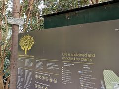 -墨尔本皇家植物园