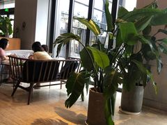 -The Rug Cafe(王府中环店)