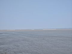 -观潮胜地公园
