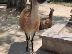 -鄂尔多斯野生动物园