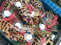 -明记海鲜大排档(巽寮湾店)