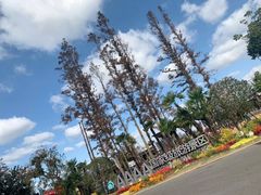 -上海长兴岛郊野公园