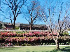 -红螺寺