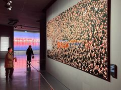 -罗红摄影艺术馆