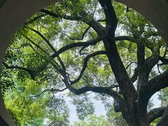 -惠山古镇·寄畅园