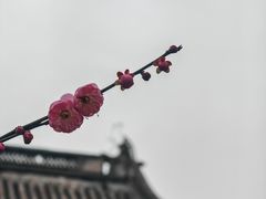 -宁波市保国寺古建筑博物馆