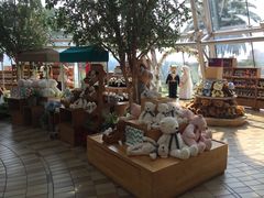 -济州岛泰迪熊博物馆