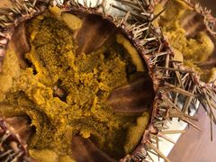 -海胆小馆(东北水饺·春柳店)