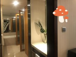 -明宇集团·积木枝芽母婴健康管理中心(天府店)