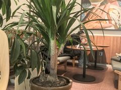 -Wagas沃歌斯(枫蓝国际店)