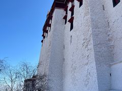 -布达拉宫