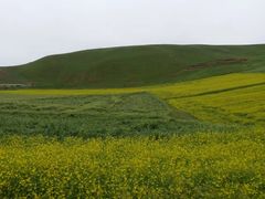 -扁都口生态休闲旅游区