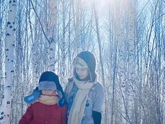 -乌兰布统景区-白桦林