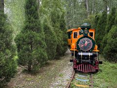 -合肥滨湖国家森林公园