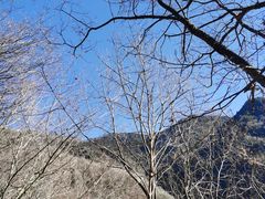 -叠溪松坪沟景区