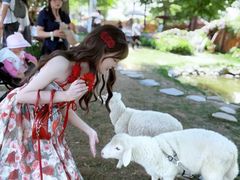 -HERRE·FARM 赫尔露营农场·团建聚会包场