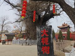 -大槐树寻根祭祖园