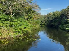 -济州森林小火车生态公园