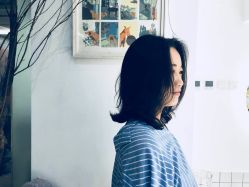 -大象造型