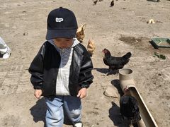 -甜心庄园·甜心草莓采摘园(西青中北店)