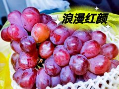 -马陆小张葡萄园农家乐