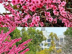 -堤角公园
