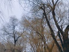 -长春市南湖公园