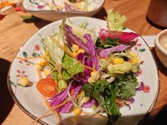 田园果蔬沙拉-炉胜·炉端烧·居酒屋