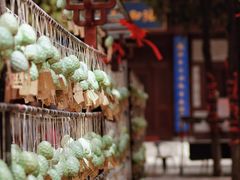 -隆兴寺