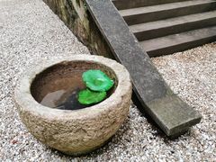 -普陀山雷迪森庄园
