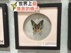 -深圳龙华星河COCO City(民治店)