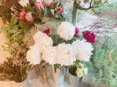 -二酉书店TOYOU BOOKS