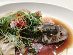 -万达瑞华酒店·品珍中餐厅