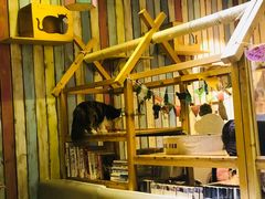 -小时光咖啡馆(开森度假森林店)