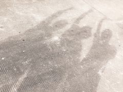 -外伶仃岛海鲜市场