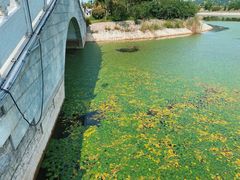 -函谷关历史文化旅游区