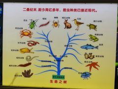 -上海昆虫博物馆