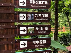 -西双版纳原始森林公园