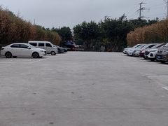 -椿杨樘·明康泡浴养生馆(重庆店)