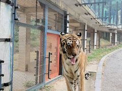 -大连森林动物园