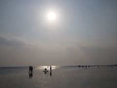 -大鹿岛