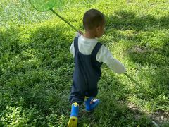 -两河城市森林公园