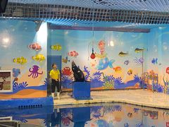 -太平洋海底世界