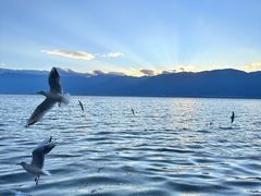 -六阅·福十 FORTEN 海景咖啡西餐厅(双廊古镇店)