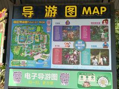 -广州长隆飞鸟乐园