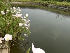 -上海杨姆庄园